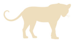 PCSALS-Panther-Tan-Sm